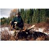 Image 2 : 9-Day Moose Hunt for One Hunter in British Columbia - Includes Trophy Fee