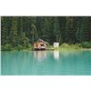 Image 3 : 9-Day Moose Hunt for One Hunter in British Columbia - Includes Trophy Fee