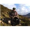 Image 3 : 4-Day Big Game Hunt for Two Hunters in Scotland
