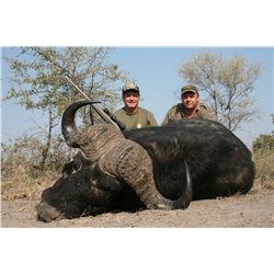 7-Day Cape Buffalo Hunt for One Hunter and One Non-Hunter in Caprivi, Namibia