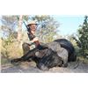Image 2 : 7-Day Cape Buffalo Hunt for One Hunter and One Non-Hunter in Caprivi, Namibia