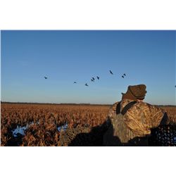 4-Night Mixed Bag Bird Hunt for Six Hunters in Uruguay
