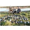 Image 4 : 4-Night Mixed Bag Bird Hunt for Six Hunters in Uruguay
