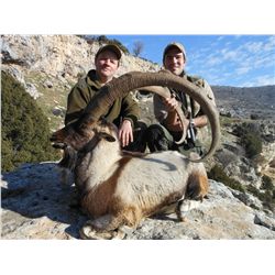7-Day Bezoar Ibex Hunt for One Hunter and One Non-Hunter in Turkey - Includes Trophy Fee