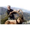 Image 3 : 7-Day Bezoar Ibex Hunt for One Hunter and One Non-Hunter in Turkey - Includes Trophy Fee
