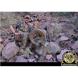 14-Day Desert Bighorn Hunt for One Hunter on Tiburon Island - Includes Trophy Fee