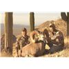 Image 2 : 14-Day Desert Bighorn Hunt for One Hunter on Tiburon Island - Includes Trophy Fee