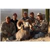Image 3 : 14-Day Desert Bighorn Hunt for One Hunter on Tiburon Island - Includes Trophy Fee