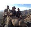 Image 4 : 14-Day Desert Bighorn Hunt for One Hunter on Tiburon Island - Includes Trophy Fee