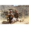 Image 5 : 14-Day Desert Bighorn Hunt for One Hunter on Tiburon Island - Includes Trophy Fee