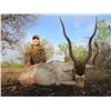 Image 3 : 5-Day Big Game Hunt for Two Hunters and Two Non-Hunters in Hondo, Texas - Includes Trophy Fees