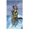 Image 2 : 4-Day/3-Night El Carmen Island Fishing Trip for Four Anglers