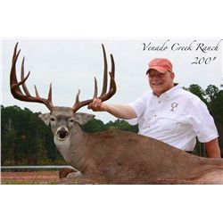 3-Day Trophy Whitetail Deer Hunt for One Hunter and One Non-Hunter in Texas - Includes Trophy Fee