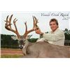 Image 2 : 3-Day Trophy Whitetail Deer Hunt for One Hunter and One Non-Hunter in Texas - Includes Trophy Fee