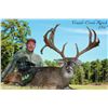 Image 3 : 3-Day Trophy Whitetail Deer Hunt for One Hunter and One Non-Hunter in Texas - Includes Trophy Fee