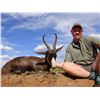 Image 3 : 8-Day Plains Game Hunt for One Hunter and One Non-Hunter in South Africa - Includes Trophy Fees