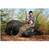 Image 2 : 10-Day Cape Buffalo Hunt for One Hunter in Zimbabwe - Includes Trophy Fee