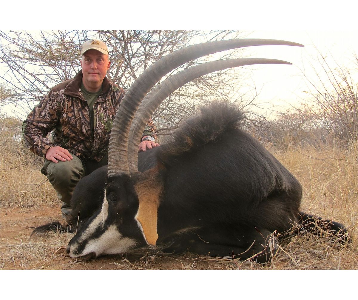 Sable Hunter 7-Day Sable Hunt for One Hunter and Three Non-Hunters in South Africa ...