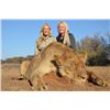 Image 2 : 7-Day Lioness Hunt for Two Hunters in South Africa - Includes Trophy Fee