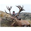 Image 2 : 5-Day Red Stag Hunt for One Hunter in New Zealand - Includes Trophy Fee