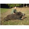 Image 2 : 5-Day Mouflon and Wild Boar Hunt for One Hunter and One Non-Hunter in Austria - Includes Trophy Fees