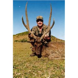 5-Day Javan Rusa Deer Hunt for One Hunter in South Australia - Includes Trophy Fee