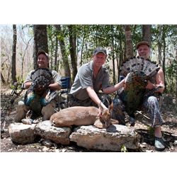 5-Day Campeche Jungle Hunt for One Hunter in Mexico - Includes Trophy Fees