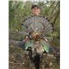 Image 3 : 5-Day Campeche Jungle Hunt for One Hunter in Mexico - Includes Trophy Fees