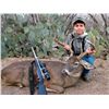Image 3 : 3-Day Whitetail Deer Hunt for three YOUTH and Three Adult Observers in Texas - Includes Trophy Fees