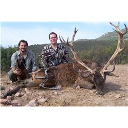 4-Day Red Stag OR Roe Deer Hunt for Two Hunters in Spain - Includes Trophy Fees