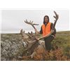 Image 2 : 7-Day Quebec Labrador Caribou Hunt for One Hunter in Northern Quebec - Includes Trophy Fee