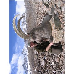5-7 Day Mid-Asian Ibex Hunt for One Hunter in the Kyrgyz Republic - Includes Trophy Fee