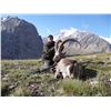 Image 2 : 5-7 Day Mid-Asian Ibex Hunt for One Hunter in the Kyrgyz Republic - Includes Trophy Fee