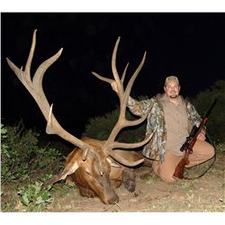 4-Day Rocky Mountain Elk Hunt for One Hunter in Colorado - Includes Trophy Fee