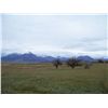 Image 2 : 4-Day Rocky Mountain Elk Hunt for One Hunter in Colorado - Includes Trophy Fee