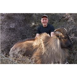 5-Day Tahr Hunt for Two Hunters and Two Non-Hunters in New Zealand - Includes Trophy Fees