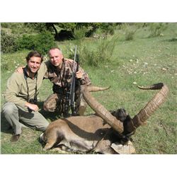 5-Day Gredos Ibex Hunt for One Hunter and One Observer in Spain - Includes Trophy Fee