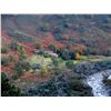 Image 2 : 5-Day Gredos Ibex Hunt for One Hunter and One Observer in Spain - Includes Trophy Fee