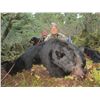 Image 2 : 5-Day Luxury Yacht Black Bear Hunt for One Hunter in Alaska - Includes Optics Package
