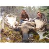 Image 2 : 10-Day Moose/Goat Combo Hunt for One Hunter in British Columbia - Includes Fee for First Trophy Harv