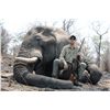 Image 2 : 14-Day Trophy Elephant Hunt for One Hunter and One Non-Hunter in Caprivi, Namibia - Includes Trophy 