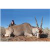 Image 2 : 7-Day Plains Game Hunt for Two Hunters in South Africa - Includes Trophy Fees