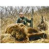 Image 2 : 10-day Brown Bear Hunt for One Hunter in Cordova, Alaska