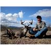 Image 2 : 9-Day Mule Deer and Coues Deer Hunt for One Hunter in Mexico - Includes Trophy Fees