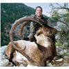 Image 2 : 7-Day Anatolian (Bezoar) Ibex Hunt for One Hunter and One Non-Hunter in Turkey - Includes Trophy Fee
