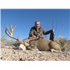 Image 2 : 3-Day Mule Deer Hunt for One Hunter and One Non-Hunter with Señor Jesús Yurén in Mexico