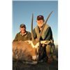 Image 2 : Golden Oryx Celebrity Hunt for One Hunter in Namibia - Includes Trophy Fee, Taxidermy, Optics and Mu