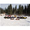 Image 2 : 7-Day Wolf Hunt for One Hunter in Alaska - Includes Trophy Fee