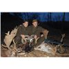 Image 3 : 5-Day Fallow Deer Hunt for Two Hunters in Austria - Includes Trophy Fee