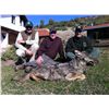 Image 1 : 7-Day Balkan Chamois Hunt for 1 Hunter and 1 Non-Hunter in Macedonia - Includes Trophy Fee